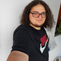 Stefan Voicu