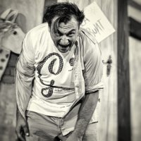 Vulpe Radu